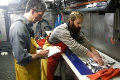 BENTHIS researchers Depestele and Laffargue are preparing the birds’ meals. BENTHIS researchers Depestele and Laffargue are preparing the birds’ meals.