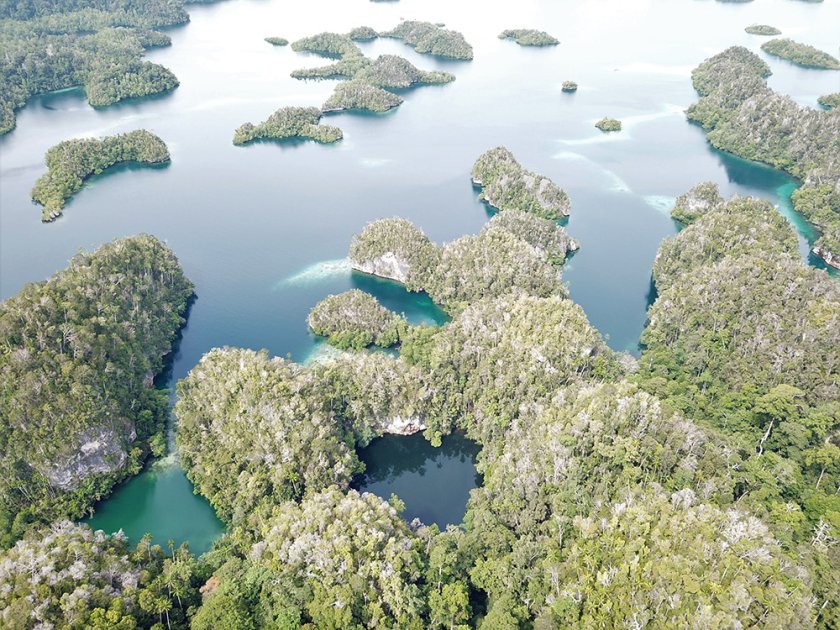 Marine lake with coral community in Raja Ampat (Indonesia), credits: Lisa Becking Marine lake with coral community in Raja Ampat (Indonesia), credits: Lisa Becking