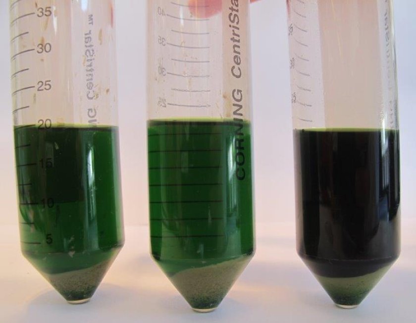 Ethanol extraction - resulting product