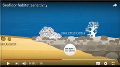 Figure 4. Screenshot of animation 3 visualising the different sensitivities of habitats to trawling.