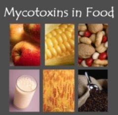 mycotoxins in food