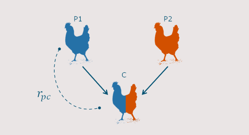 fig_rpc_edited.png fig_rpc_edited.png