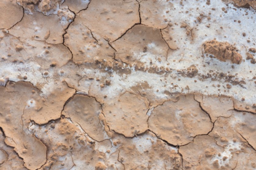 Klimaat verhaal 5: Zoute landbouw