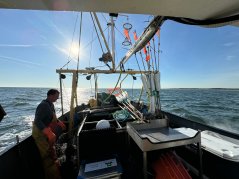 Visser Daniel Zoeteweij op zijn kotter YE152 maakt de tuigen klaar onderweg naar windpark Borssele Visser Daniel Zoeteweij op zijn kotter YE152 maakt de tuigen klaar onderweg naar windpark Borssele
