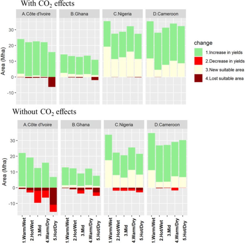 Predicted changes in total area suitable for cocoa production in each country where simulated water-limited potential yield is expected to change, with and without CO2 effects. Predicted changes in total area suitable for cocoa production in each country where simulated water-limited potential yield is expected to change, with and without CO2 effects.