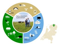 Cirkel Eytemaheert.jpg