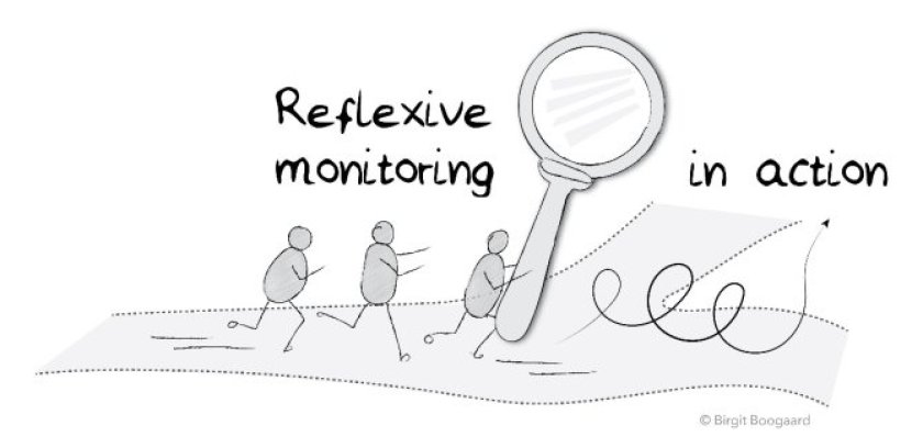 reflexive monitoring in action.jpeg reflexive monitoring in action.jpeg