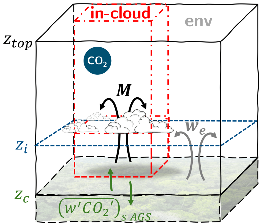 Figure 1: Conceptual overview of CO2 mixing through turbulence and clouds above the Amazon rain forest Figure 1: Conceptual overview of CO2 mixing through turbulence and clouds above the Amazon rain forest