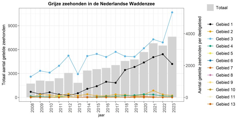 Figuur 2. Aantallen grijze zeehonden geteld in de Nederlandse Waddenzee (grijze kolommen) en in de Nederlandse deelgebieden (gekleurde lijnen) vanaf 2008 tot 2023.