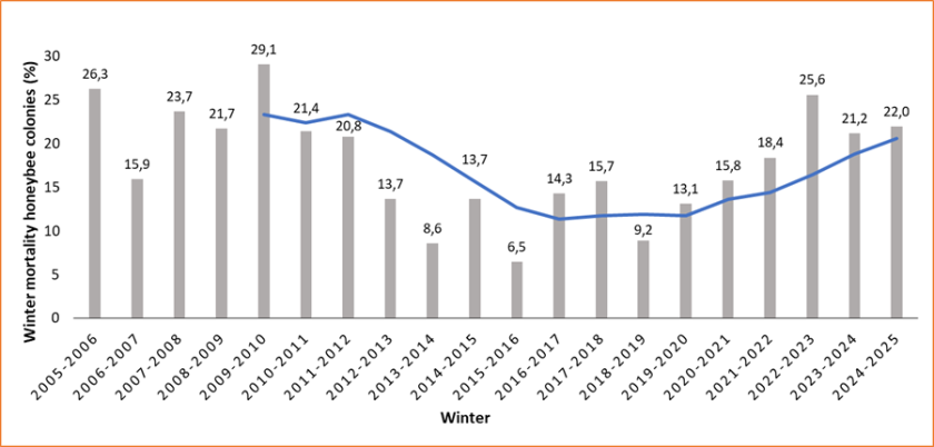 Overview of measured winter mortality from 2005 to 2024. The blue line shows the five-year average based on previous years (source: WUR) Overview of measured winter mortality from 2005 to 2024. The blue line shows the five-year average based on previous years (source: WUR)