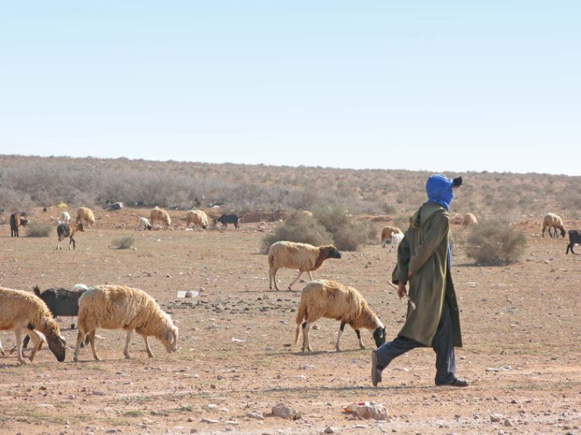 Drought restricted agriculture Drought restricted agriculture