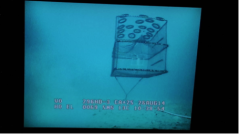 Floated Norwegian fish trap off-bottom Floated Norwegian fish trap off-bottom