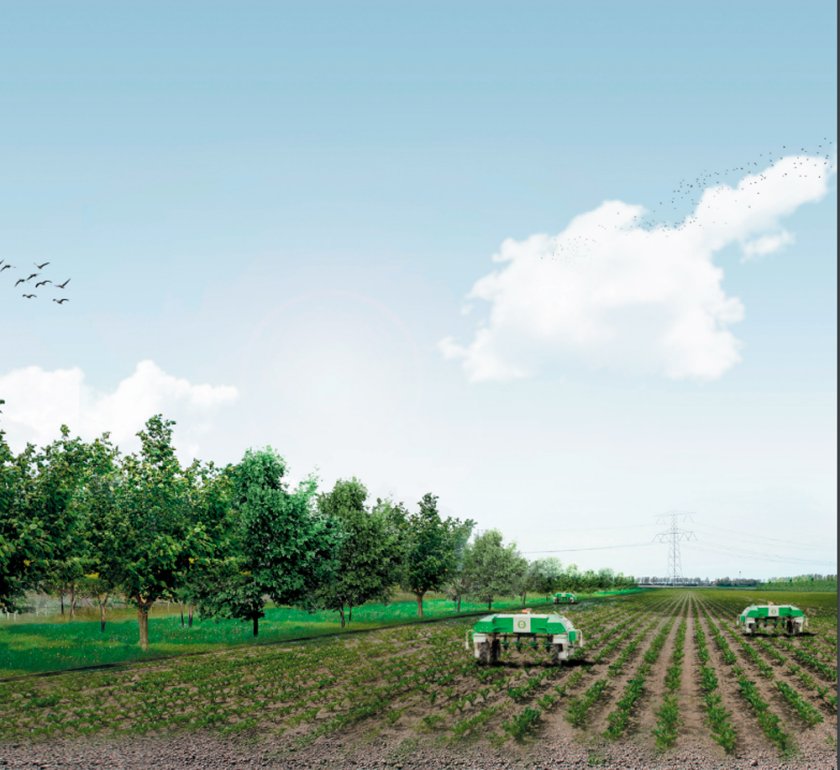 Agroforestry in het Zeeuwse landschap