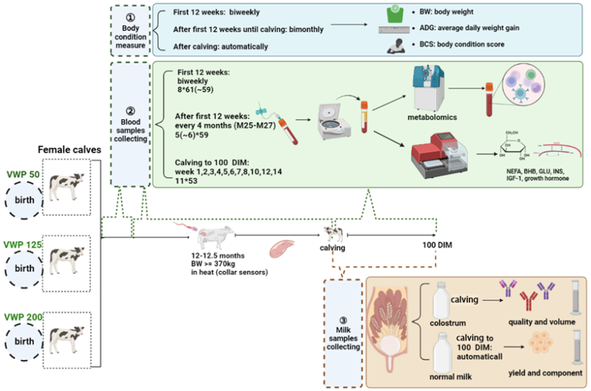 figure3.png figure3.png