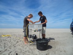 Onderzoek of een megasuppletie als de Zandmotor minder impact heeft op  bodemdieren dan de reguliere suppleties. Beeld: Jeroen Wijsman.