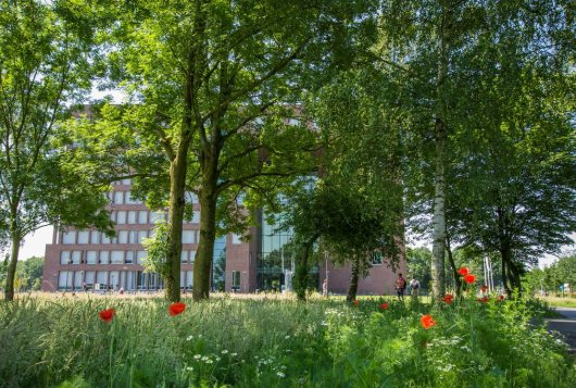 Pruning work on trees from November 4
