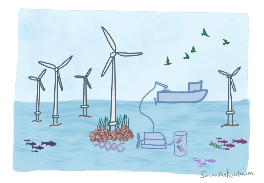 2 FINAL Wind_Park_Samantha Kristensen.jpg 2 FINAL Wind_Park_Samantha Kristensen.jpg
