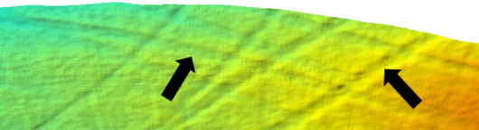 Image of the seafloor. Note the differences in penetration depths between different unidentified beam trawl trawls.