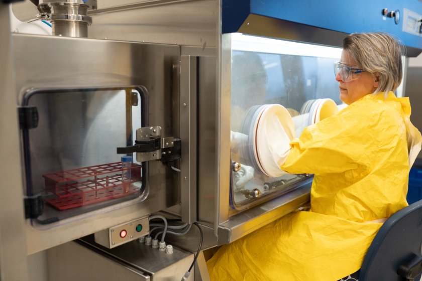 Diagnostics and research is possible within the guidelines of veterinary Biosafety Level 4 (vBSL4) and human Biosafety Level 3 (hBSL3). Diagnostics and research is possible within the guidelines of veterinary Biosafety Level 4 (vBSL4) and human Biosafety Level 3 (hBSL3).
