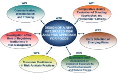 Input from the different Workpackages into the design of a New Integrated Risk Analysis Framework