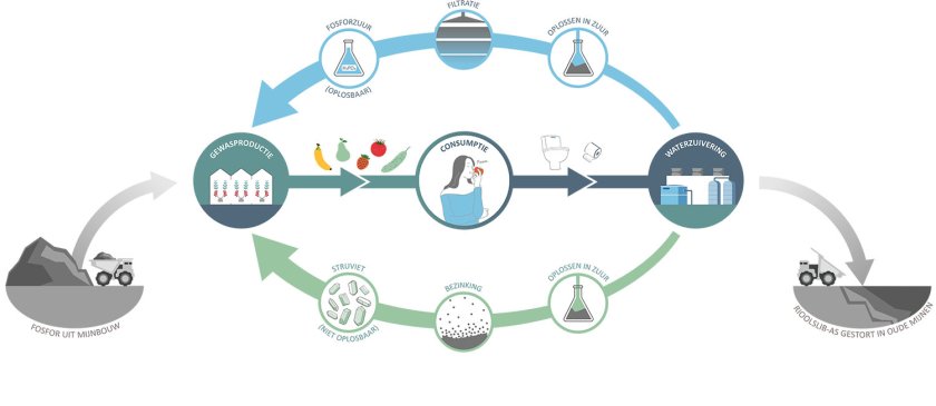 Kansen om van een lineaire- naar een circulaire fosforketen te komen. Kansen om van een lineaire- naar een circulaire fosforketen te komen.