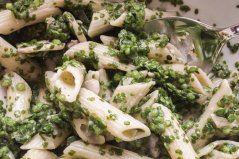 Several water lentils species have been approved for consumption. Photo: WUR Several water lentils species have been approved for consumption. Photo: WUR