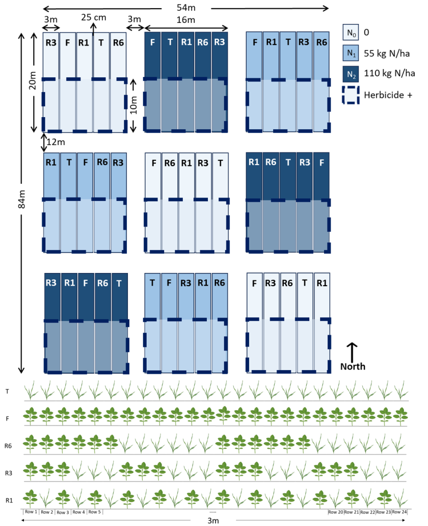 Xiaoyi Yang - layout.png Xiaoyi Yang - layout.png