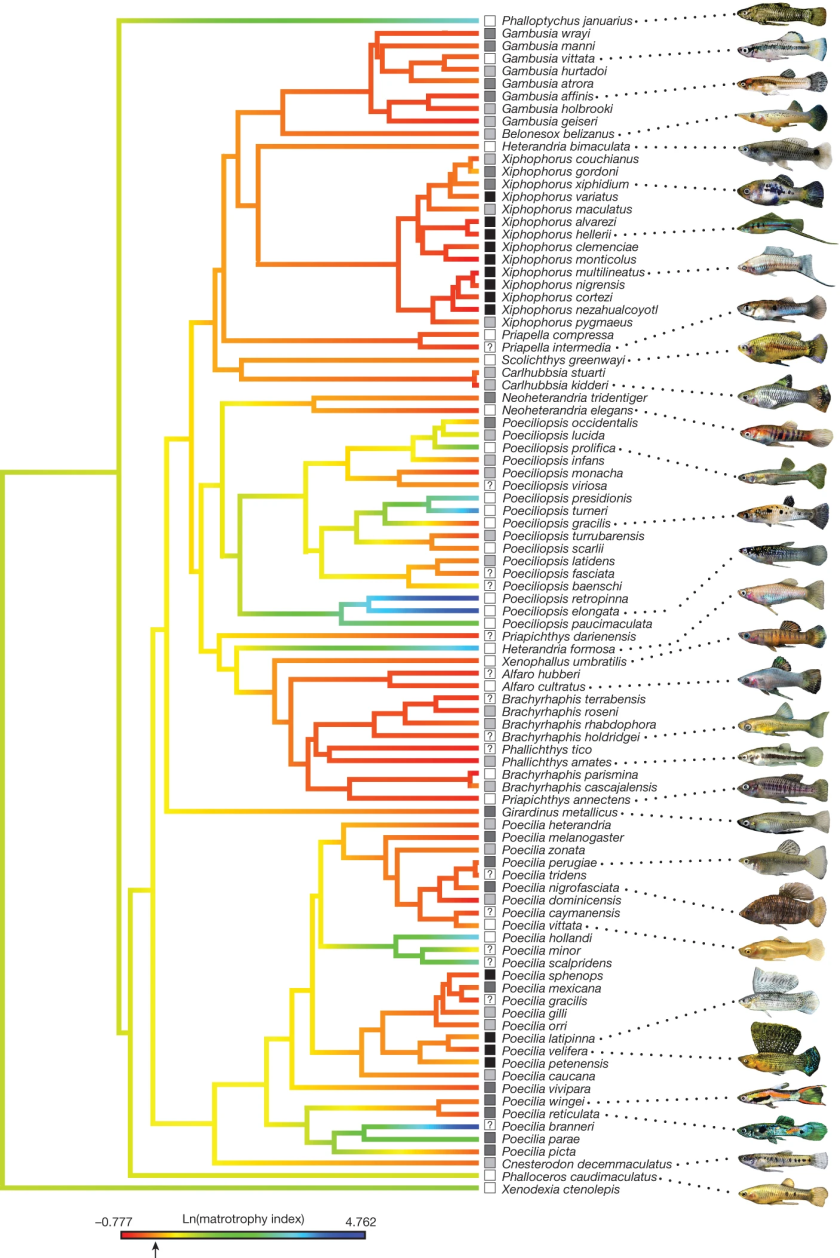 41586_2014_BFnature13451_Fig1_HTML.png 41586_2014_BFnature13451_Fig1_HTML.png