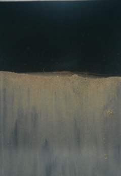 Beam trawl - Sediment profile before beam trawl fishing (T0)