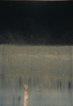 Beam trawl - Sediment profile 2h after beam trawl fishing (T1)