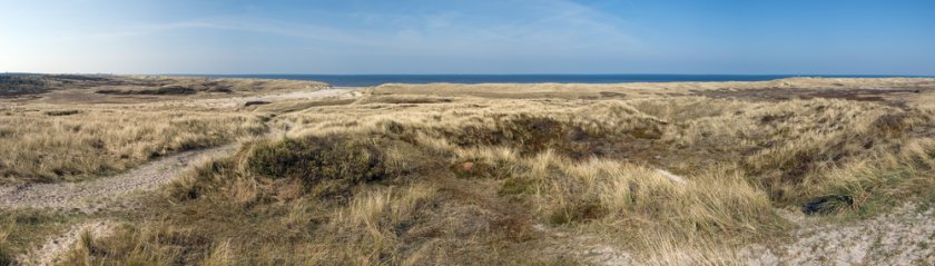 duinen_schoorl_de-kerf_shutterstock_13227946.jpg duinen_schoorl_de-kerf_shutterstock_13227946.jpg