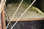 Miscanthus energy Miscanthus energy
