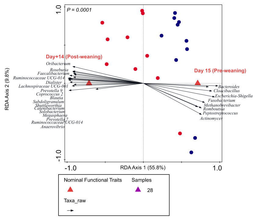 raka.figure1.png raka.figure1.png