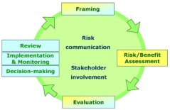 Current SAFE FOODS Risk Analysis Model at a Functional Level