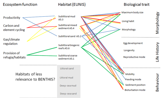 traits-habitats-ecosystem.png