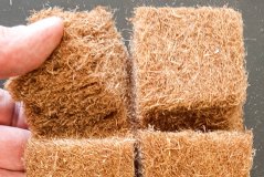 Growing blocks made from compressed hemp fibers are used for growing lettuce and herbs.  Photo: WUR