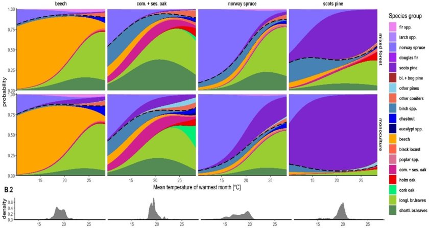 Change in composition of saplings as maximum monthly temperature increases in central Europe. Eg: top row: 'Norway spruce' (Norway spruce), a shift from 15 to 20C already results in a shift from forest rejuvenation of mainly spruce and birch to a much more mixed rejuvenation of spruce, birch, beech and other deciduous species. In monoculture (bottom row), it remains much more single species coniferous with Norway spruce and Scots pine Change in composition of saplings as maximum monthly temperature increases in central Europe. Eg: top row: 'Norway spruce' (Norway spruce), a shift from 15 to 20C already results in a shift from forest rejuvenation of mainly spruce and birch to a much more mixed rejuvenation of spruce, birch, beech and other deciduous species. In monoculture (bottom row), it remains much more single species coniferous with Norway spruce and Scots pine