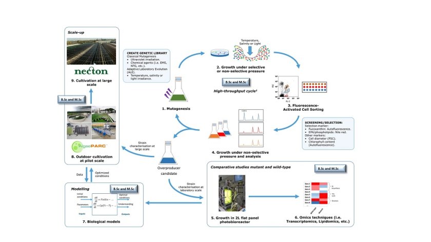 Figure 1. General overview of the proposed approach for this research (click to enlarge) Figure 1. General overview of the proposed approach for this research (click to enlarge)