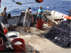 Deploying traps from the RV Philia Deploying traps from the RV Philia