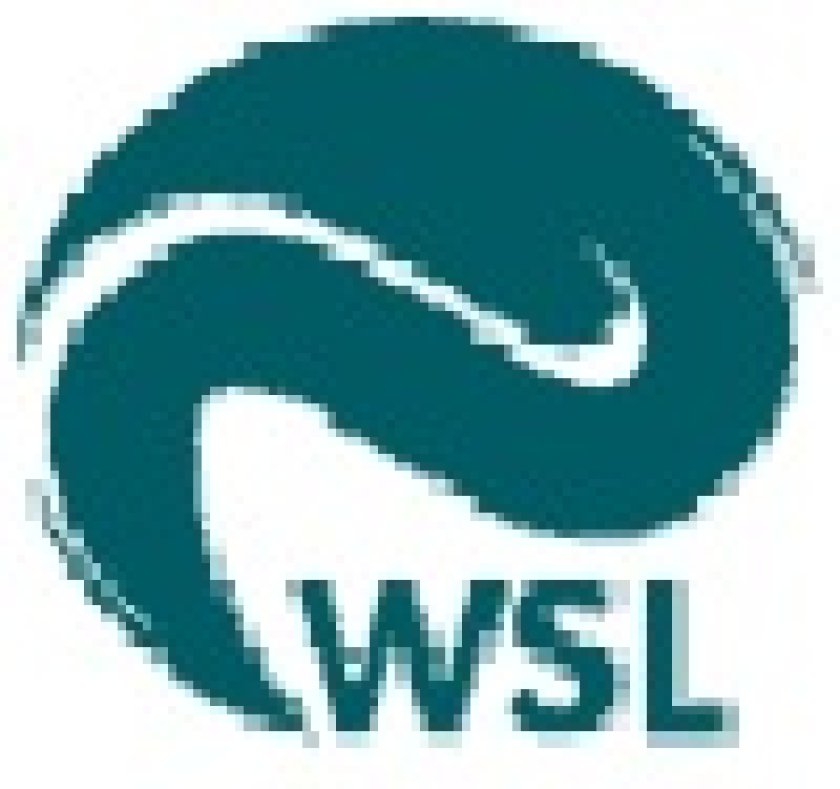 wsl.jpg