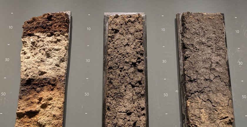 Soil profiles in the ISRIC World Soil Museum in Wageningen. Shown in the middle: the dark chernozem soil that can be found in many parts of Ukraine. Soil profiles in the ISRIC World Soil Museum in Wageningen. Shown in the middle: the dark chernozem soil that can be found in many parts of Ukraine.