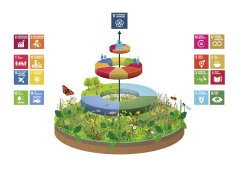 This figure illustrates how the natural system 'carries' the other systems