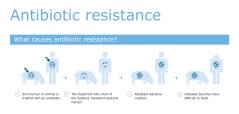 841210760_CVI_infographic_antibiotica_UK_RGB_2.jpg