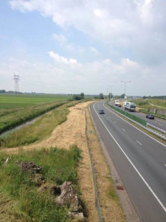 De Elfenbaan, aangelegd ter compensatie van de N11, is een smalle ecologische verbindingszone gelegen tussen het areaal van de rijksweg N11 en het spoor Leiden-Bodegraven. De stichting Het Zuid-Hollands Landschap is ook bezig met het herinrichten van de Elfenbaan voor wilde bijen, hommels, zweefvliegen en andere bestuivers. Als bestuivers dragen deze insecten bij aan de instandhouding van het plantenrijkdom. Met deze herinrichting en het bijenvriendelijk bermbeheer op de N11 hoopt district Noord dat het aantal bijensoorten en andere insecten in dit gebied gaat stijgen. Stichting EIS (kenniscentrum voor insecten en andere ongewervelden) gaat dit gedurende de pilot moniteren. De Elfenbaan, aangelegd ter compensatie van de N11, is een smalle ecologische verbindingszone gelegen tussen het areaal van de rijksweg N11 en het spoor Leiden-Bodegraven. De stichting Het Zuid-Hollands Landschap is ook bezig met het herinrichten van de Elfenbaan voor wilde bijen, hommels, zweefvliegen en andere bestuivers. Als bestuivers dragen deze insecten bij aan de instandhouding van het plantenrijkdom. Met deze herinrichting en het bijenvriendelijk bermbeheer op de N11 hoopt district Noord dat het aantal bijensoorten en andere insecten in dit gebied gaat stijgen. Stichting EIS (kenniscentrum voor insecten en andere ongewervelden) gaat dit gedurende de pilot moniteren.