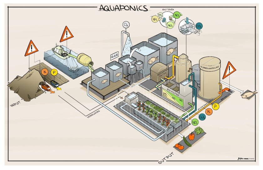 Schets van een aquaponic systeem; een cross-over tussen de glastuinbouw en visteelt. Schets van een aquaponic systeem; een cross-over tussen de glastuinbouw en visteelt.