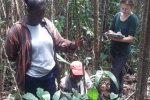Species inventory of a 4-year-old biodiversity experiment plot in a dry semideciduous forest in Abofour, Ghana