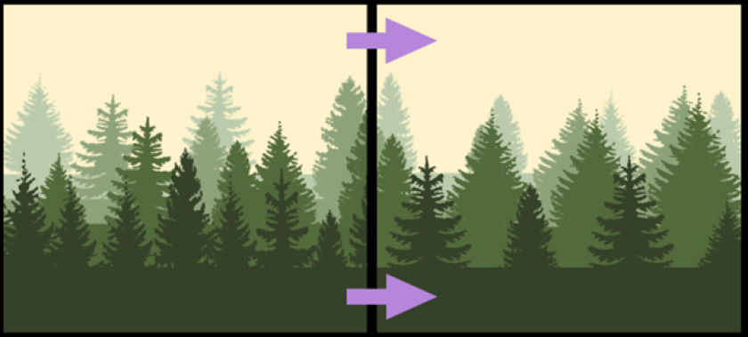 Expected shift in boreal forests. The left panel shows typical current tree densities: higher densities in the warmer southern boreal forests (foreground, dark green), lower densities in the cold northern boreal forests (background, light green). The right panel shows the modelled shift towards one density because dense forests become more open and sparse forests become denser.