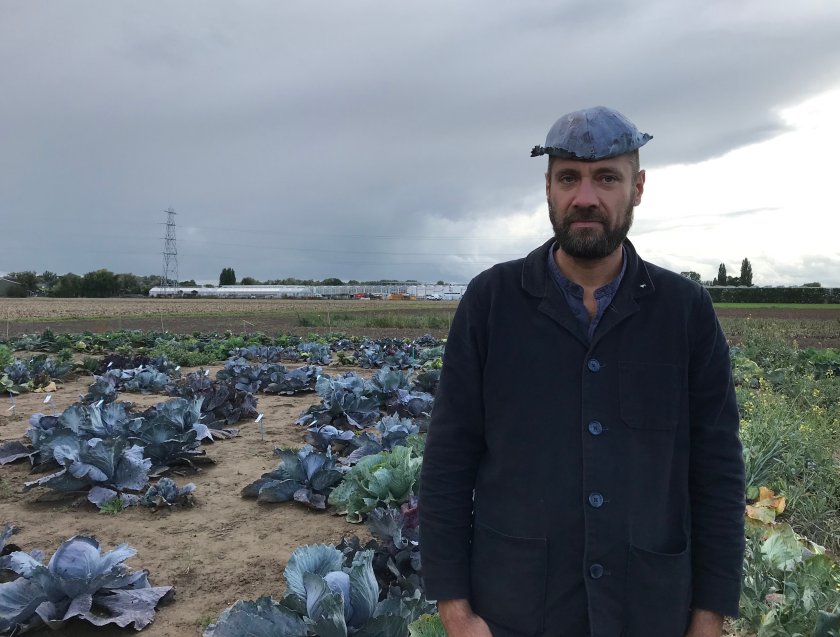 Arne stands in a cabbage field