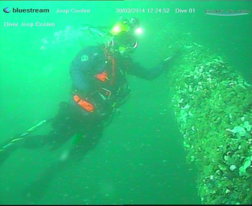 IMARES scientific diver sampling an ENGIE installation (photo by ENGIE) IMARES scientific diver sampling an ENGIE installation (photo by ENGIE)