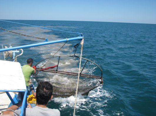 The hauling in of an ‘algarna’ beam trawl